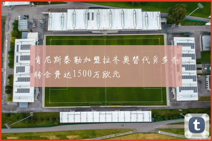 肯尼斯泰勒加盟拉齐奥替代贡多齐转会费达1500万欧元