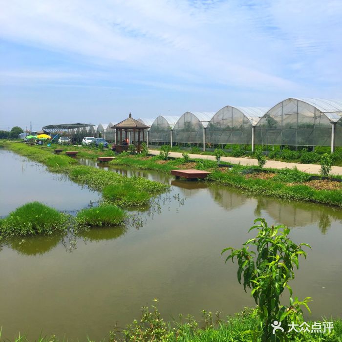 资源节约 环境友好 生态发展 南通一农场入选全国典型